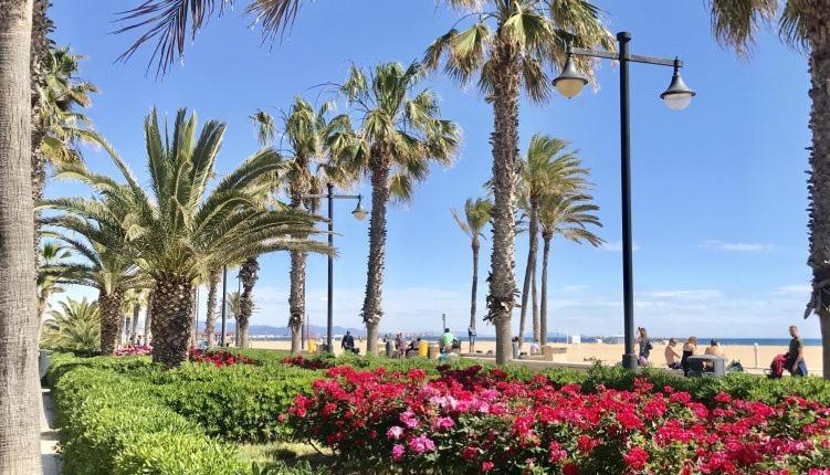 Apartamento Turistico Lux Center Valencia Buitenkant foto
