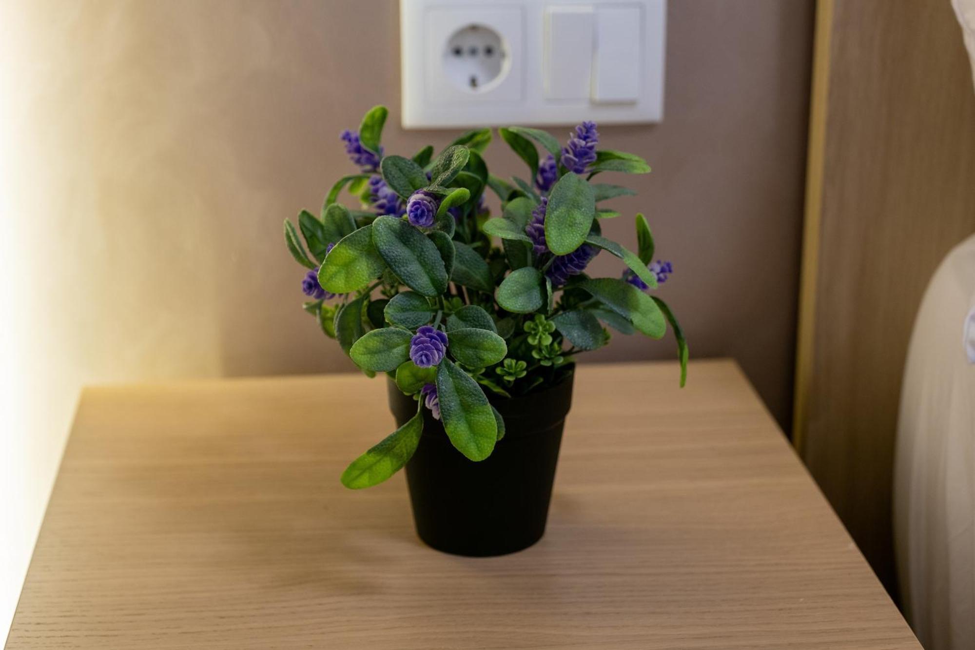 Apartamento Turistico Lux Center Valencia Buitenkant foto